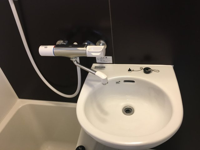 メディソン佐古の洗面所