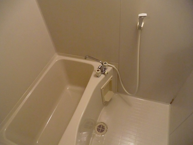 Surplus　One御油の浴室