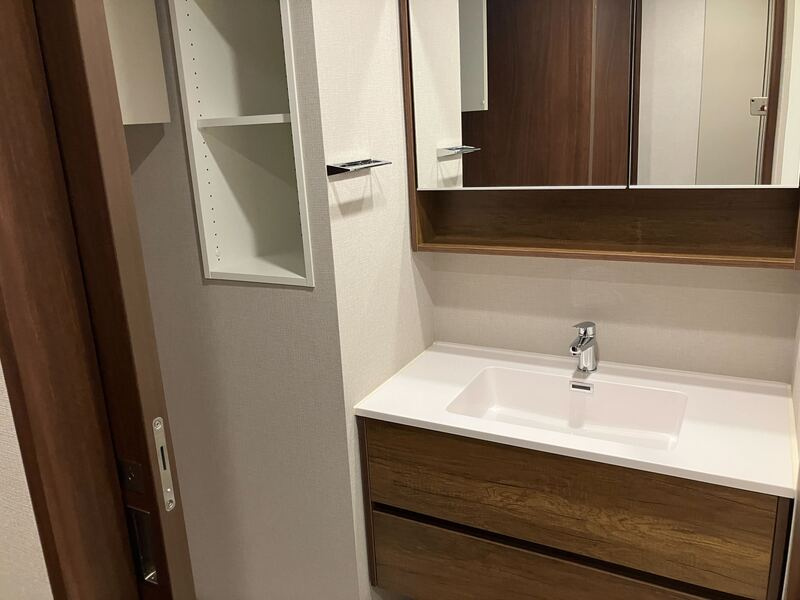 テラス駒込サウスの洗面所