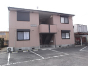 コーラルライフの画像