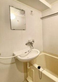 スカイコート新宿曙橋第２の洗面所