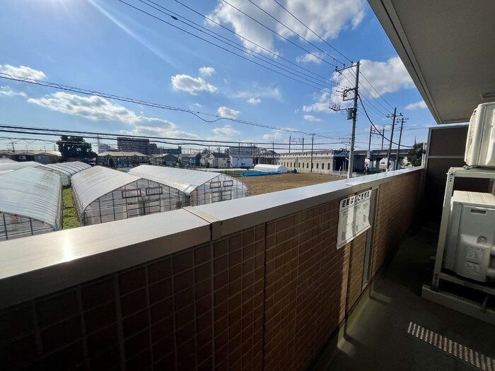 プレジャーの展望