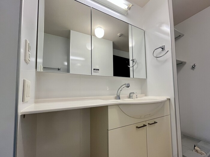 プレジャーの独立洗面台