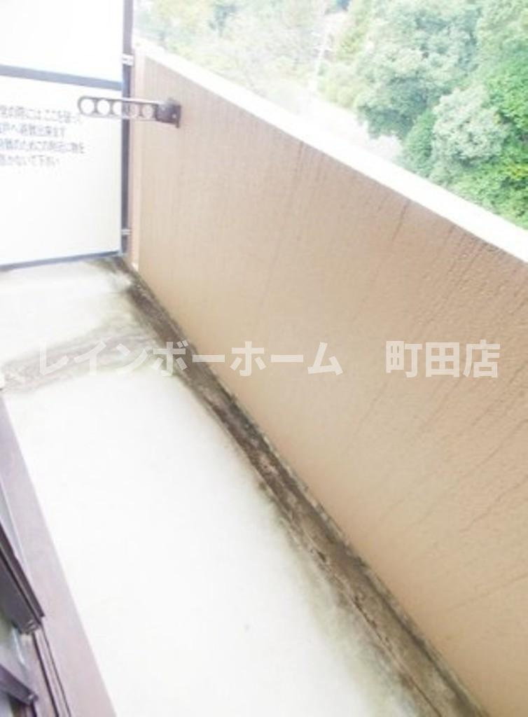 ドミトリー白根※初期費用分割後払いサービス利用可能物件のバルコニー