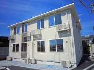 ヴィオレッテの画像