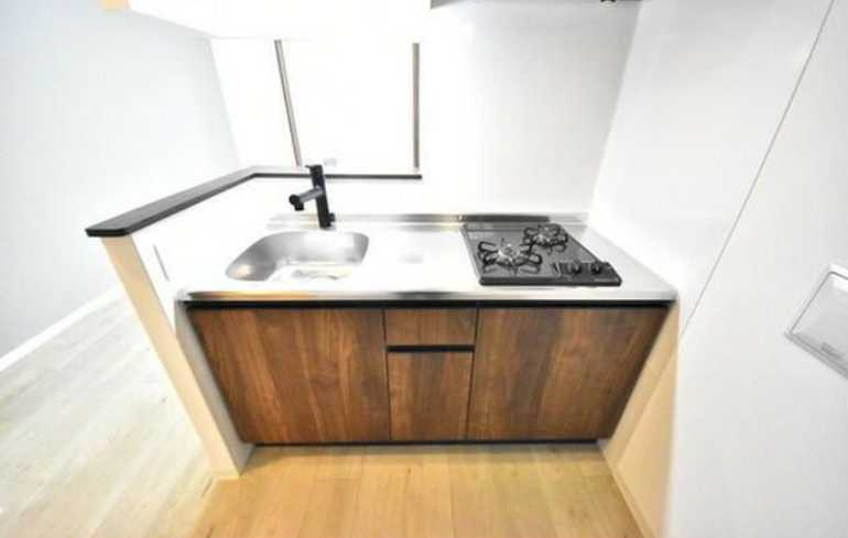 RJカーサ桜新町　ペット相談　礼金０　築浅のキッチン