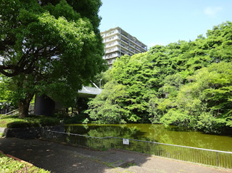 【周辺】 | エステート貝取２ | 市立遺留緑地まで徒歩７分