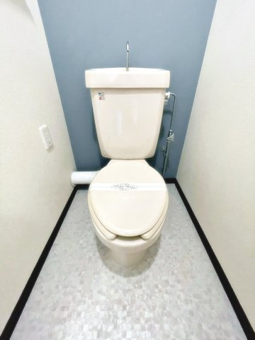 宝塚市小林２丁目の賃貸マンションのトイレ|トイレも気になるポイント