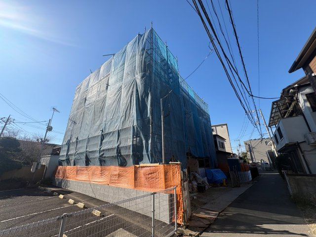 Ｃａｔ　Ｃｏｕｒｔ　Ｋｏｇａｎｅ