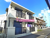 コーラル・リーフの画像