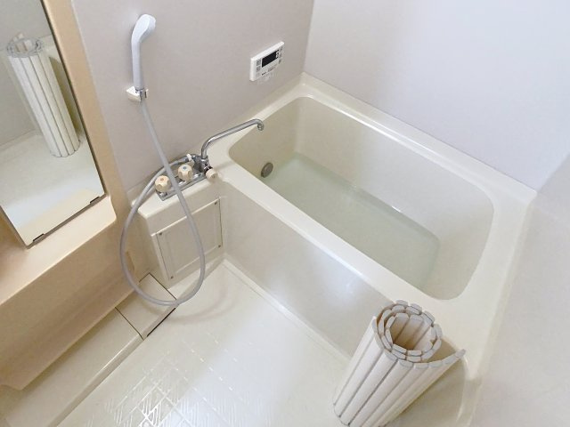 ディアスフロールの浴室