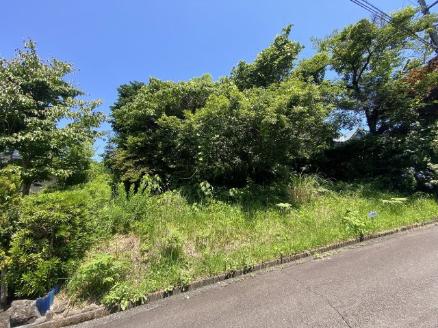 伊豆の国市　富士見ニュータウンの前面道路含む現地写真