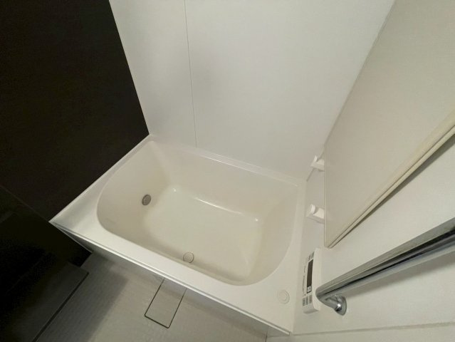 エステムコート難波Ⅴブロードの浴室