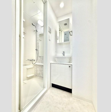 エスリード栄クロスシティの洗面所