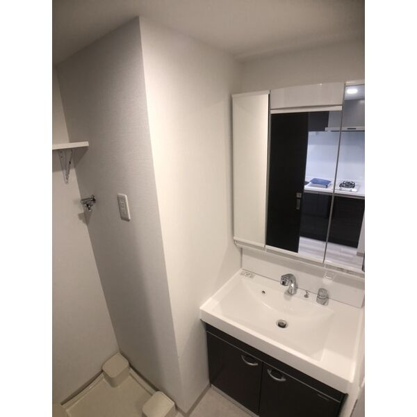 エステムコート名古屋サウスネクストの洗面所|※同物件他部屋写真
反転、色違いの場合有
現況優先