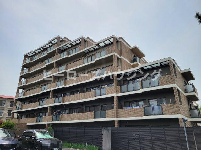 アコール隆豊の画像