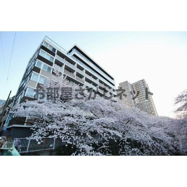 アールコート早稲田【おとり物件なし】#学生・社会人にオススメ！初期費用分割払いOK！