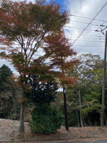 天城東急リゾート内・売別荘地の周辺