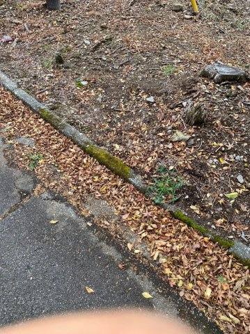 天城東急リゾート内・売別荘地の外観