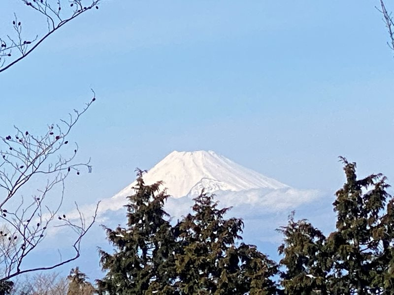 天城東急リゾート内・売別荘地の周辺