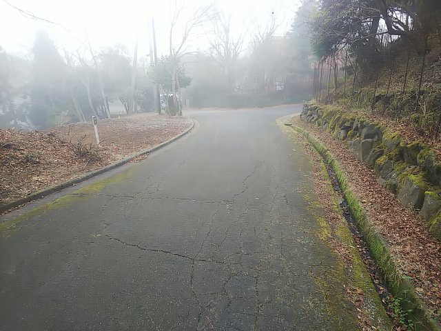 天城東急リゾート内・売別荘地の周辺