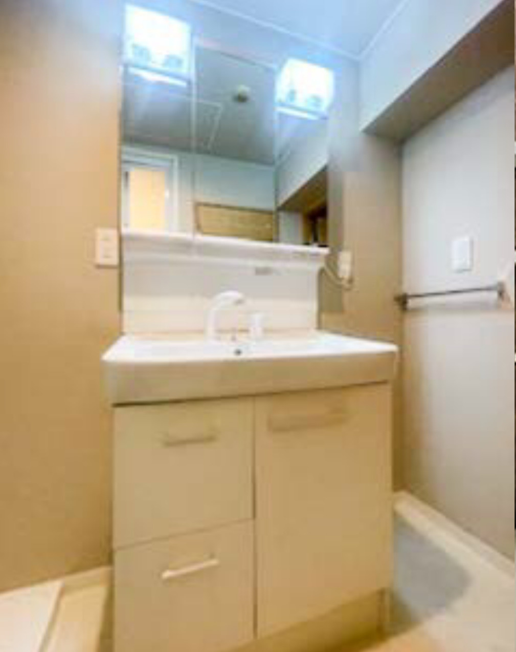 サンライトパストラル五番街C棟の洗面所