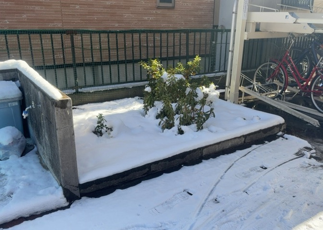 【中庭】 | ダイアパレス相模原Ⅲ | 中庭（パティオ）とは、一つの建築物の内部に設けられた、壁などで囲われている庭のことを指します。コの字型、ロの字型が主流ですが、L字型の中庭もあります。最近では、インテリア性の高さからも人気があります。