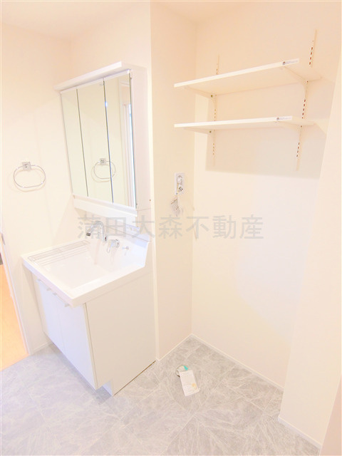 スカイハイム仲六郷の洗面所|3面鏡の独立洗面台と洗濯機置き場　洗面脱衣所