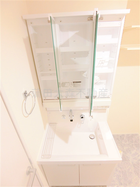 スカイハイム仲六郷の洗面所