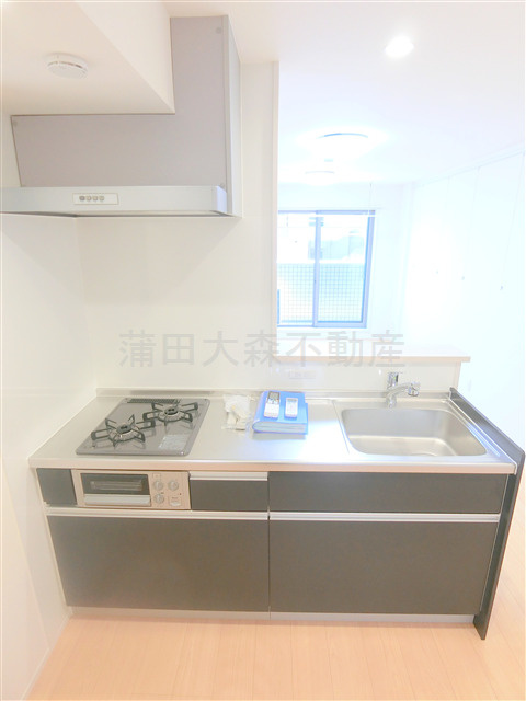 スカイハイム仲六郷のキッチン