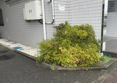 【中庭】 | ライオンズマンション相模原第８ | 中庭（パティオ）とは、一つの建築物の内部に設けられた、壁などで囲われている庭のことを指します。コの字型、ロの字型が主流ですが、L字型の中庭もあります。最近では、インテリア性の高さからも人気があります。