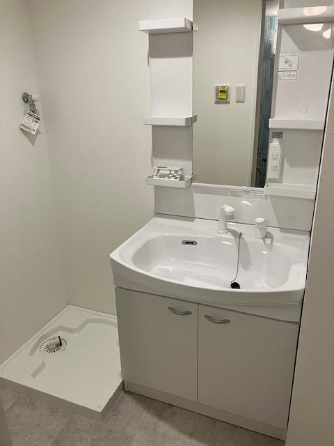 呉市本通２丁目の賃貸マンションの洗面所