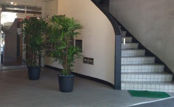 【エントランス】 | シルクアベニュー2(シルクアベニューツー)