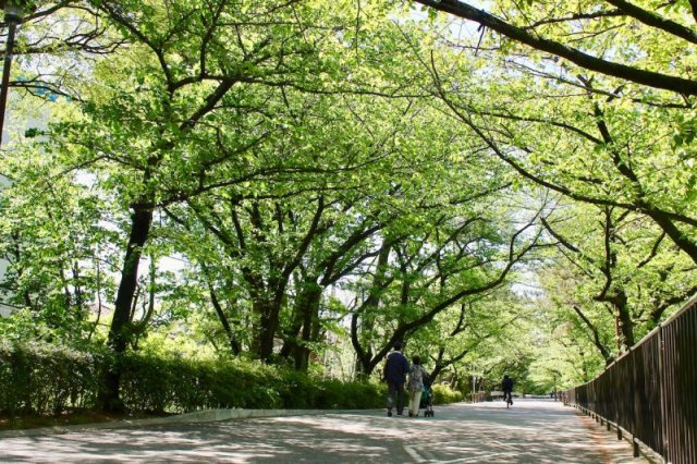 ファミール夙川宮西町のその他|夙川オアシスロード