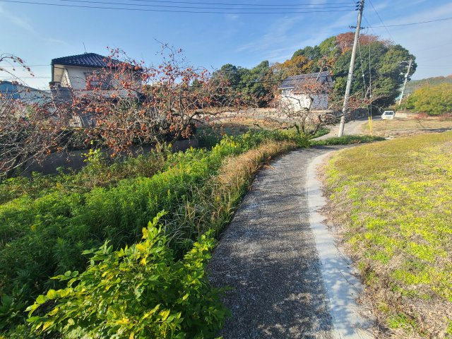 柳井市　余田　畑用地の外観