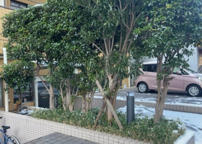 【庭】 | ダイアパレス淵野辺Ⅲ | 物件によっては、入居者が個人的に使用できる専用庭がついているものもあります。また、住宅の中にある土間の部分を庭と呼ぶこともあります。庭の用途は住む人によって変わり、それによってデザインもさまざまです。