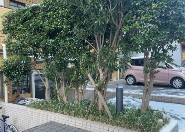【庭】 | ダイアパレス淵野辺Ⅲ | 物件によっては、入居者が個人的に使用できる専用庭がついているものもあります。また、住宅の中にある土間の部分を庭と呼ぶこともあります。庭の用途は住む人によって変わり、それによってデザインもさまざまです。