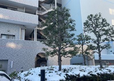 【展望】 | ダイアパレス淵野辺Ⅲ | 景色重視でお家選ぶをするとスーパーが遠い！学校が遠い！など生活をするうえで利便性で困ることもあります。まず一度現地を見学する際に、周辺の施設などがあるかを確認し、暮らし始めた後のことを想像しましょう。