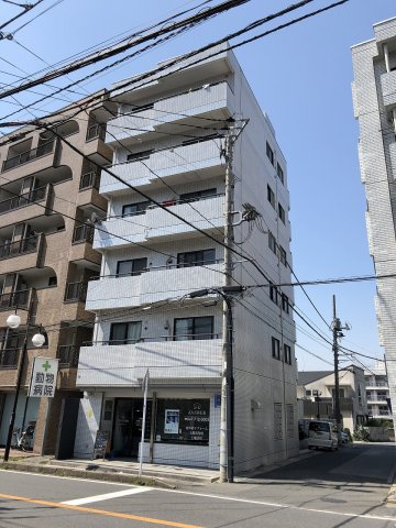 R FIELDS MATSUDO