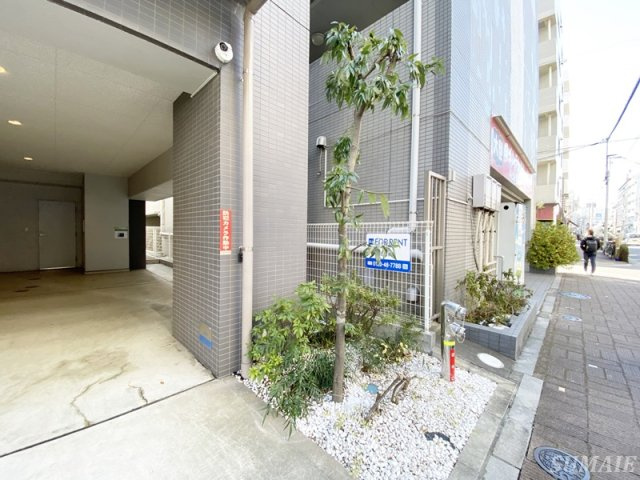 UPWARDのその他|植栽です☆