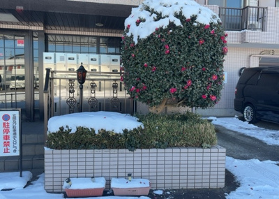 【庭】 | ライオンズマンション南橋本第２ | 物件によっては、入居者が個人的に使用できる専用庭がついているものもあります。また、住宅の中にある土間の部分を庭と呼ぶこともあります。庭の用途は住む人によって変わり、それによってデザインもさまざまです。