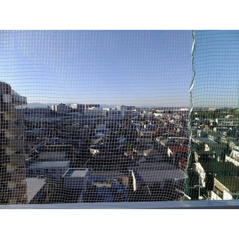 インディビレッジの展望