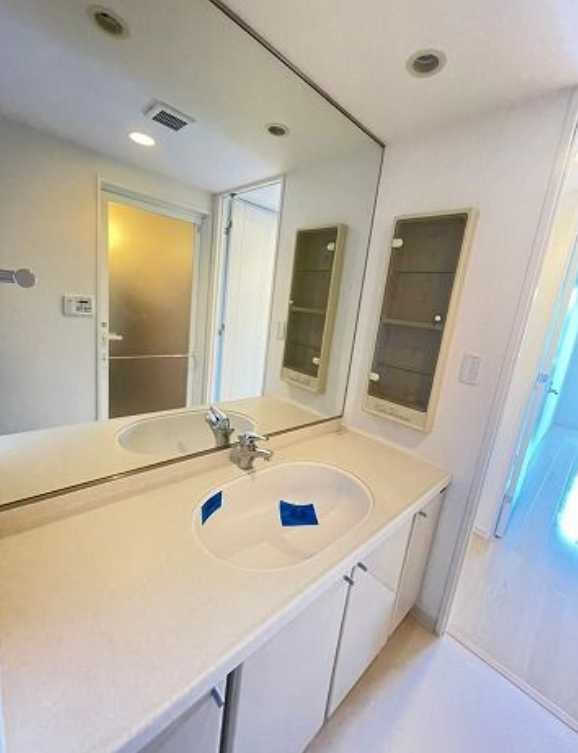 アーデン駒沢パークフロント　ペット相談　ネット無料　日勤管理人の洗面所