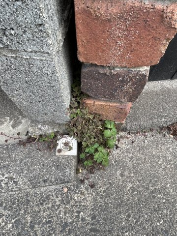 古川南１丁目　戸建　(店舗併用可)(二世帯住宅可)のその他