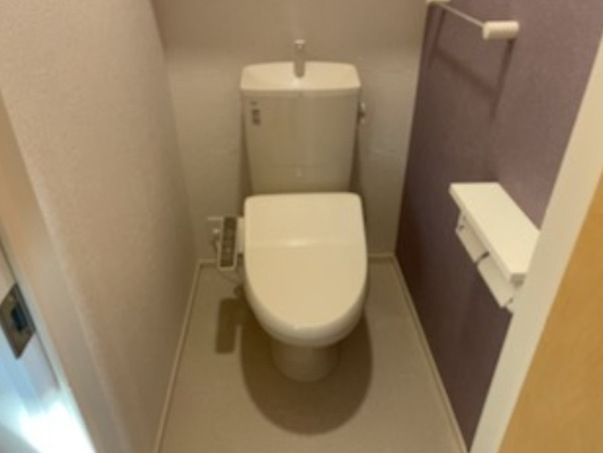 カサ・ヴィアーレⅡのトイレ