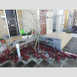 コモンセージのその他