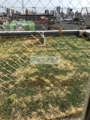 【庭】 | ラフィーヌ・上池袋