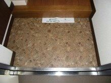 フェニックス早稲田第２の玄関