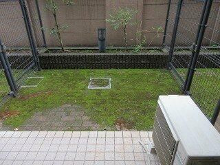 フェニックス早稲田第２のバルコニー