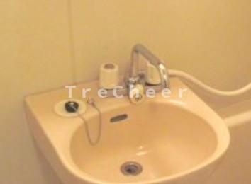 メゾン上野Ⅱの洗面所